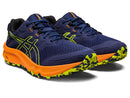 Asics Trabuco Terra 2