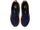 Asics Trabuco Terra 2