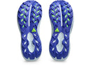Asics Trabuco 14
