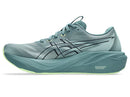 Asics GT-2000 15