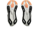 Asics Novablast 6