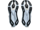 Asics Novablast 6
