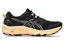 Asics Trabuco Terra 2