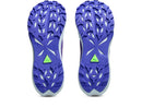 Asics Fuji Lite 6
