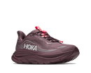 Hoka Clifton 11 GTX