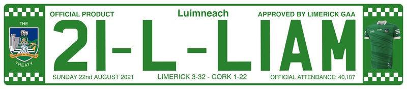Official Limerick 2021 Licence Plate