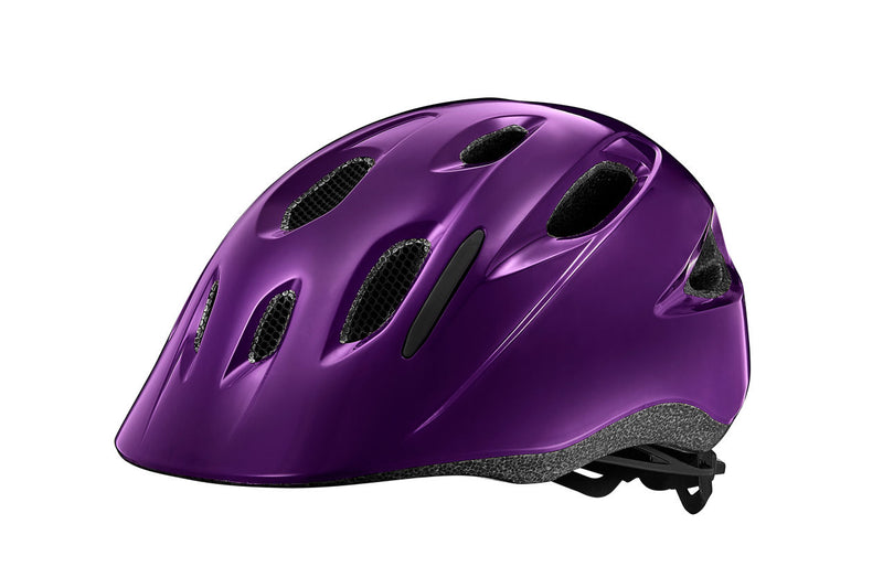 Giant Hoot ARX Kids Helmet (Gloss Purple)