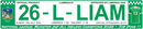 Official Limerick 2026 Plate