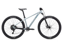Liv Tempt 4 (S) 29"