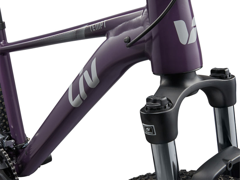 Liv Tempt 3 (M) 29"