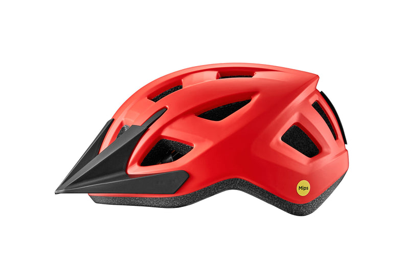 Giant Path ARX Youth Helmet