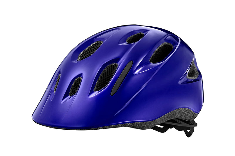 Giant Hoot ARX Kids Helmet (Sapphire)