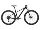 Liv Tempt 4 (M) 29"