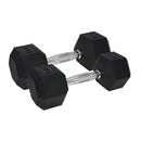 Pro Hex Dumbbells-Rubber Coated (2x10kg)