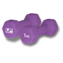 Hex Dumbbells-Neoprene Covered (Pair) 1kg